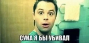 сукаябы.jpeg