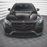 Borz_Lom